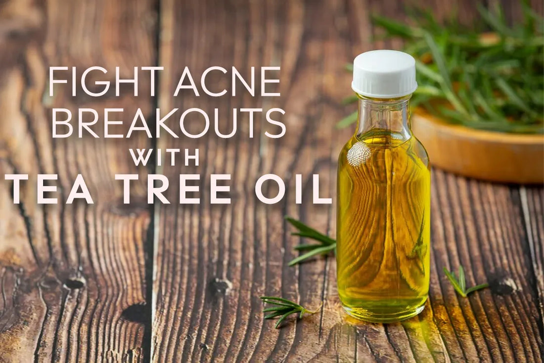 Fight Acne Breakouts with Tea Tree Oil - White Wolf India